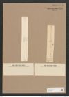 Synedra ulna var. obtusa (W. Sm.) V. H. (de-Toni-Nr.: Genus 66, Species 2584) Zeichnungen Sammlung Grunow Nr. 5215 (NHMW-BOT-W0373582)
